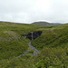 Dalla vegetazione ecco apparire la Svartifoss. <br />Il Parco Nazionale di Skaftafell è uno dei pochi luogi dell'Islanda dove abbiamo visto delle piante. Ci sono in prevalenza betulle che restano nane a causa delle condizioni climatiche della regione. 