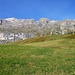 der Sellastock