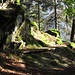 in der Posthalde