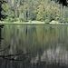 Feldsee