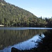 Feldsee