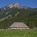 Waadtländer Schindel-Alpgebäude vor der Dent de Corjon 