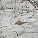 Sie werden seit mehr als 1.000 Jahren genutzt.