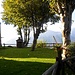 alpeggi ....