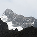 Endlich, nach 5 Tagen der erste Blick auf den Margherita Peak!