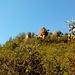 Rocce di granito rosso sull'anticima SE