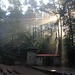 Waldtheater