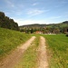Auf dem Rückweg nach Hausham<br />Über die rechte Hügelkette führte der Weg von Miesbach zum Schliersee