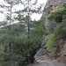 Auch im Canyon selber ist der Weg ein Fahrweg.