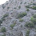 Interessante Geologie im Göynük-Canyon II.