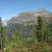 Verso la Capanna Buffalora : Alp de Calvaresc Desora