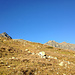 das Schwarzhorn vom Flüelapass ausgesehen