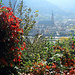 Blick vom Schlangenweg hinunter nach Heidelberg