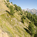 Die letzte Etappe bis Gimillan ist mit feiner Aussicht in das Val di Cogne verbunden.