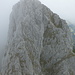 Sparrengrat von der Weissfahnespitze: Aufstieg vom Couloir unten nach rechts auf die Rippe und über diese zum Gipfel