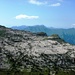 im Hintergrund der Bergzug vom Augstmatthorn