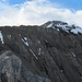 auf P. 2949, Blick zum Wildhorn-Gipfel
