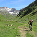Verso Alpe Forno-Arbola sullo sfondo