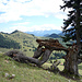 Der Wiesenanstieg mit schönem Blick auf Dümpfel und Schreckenkopf 