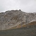 Der Weissfluhgipfel