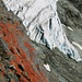 Sehr alt - und vergänglich: Flechten und Gletscherabbruch bei der Hütte