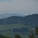 Berner Oberländerblick
