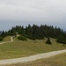 Der sogenannte "Terrainwanderweg" am Ameisberg