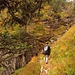Die Trekkingstöcke hätten wir getrost zu Hause lassen können.
