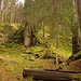 Deicheln
