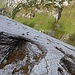 Gruebeplatte: Blick hinunter auf die Alp Grueb