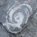 Spiralnebel im Stein (oder wie Bombo sagt: Ultraschall eines Alien)