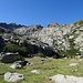 grüner - als bisher in Korsika angetroffen - die (Alp)-Weiden
