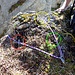 Abseilpunkt oberhalb der Scharte III - lV
grün - alter Schlaghaken
rot - neuer Schlaghaken
gelb - Rinne ausgeschlagen für Seil um Steinkopf
