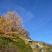 Herbststimmung im Val de Bagnes. 
