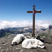 Auf dem Gipfel, sagenhafte Aussicht auf (fast) alles, was alpinen Rang und Namen hat, in der Schweiz, Italien und Frankreich (754 Gipfel bei Sichtweite 50 km)! Rechts Les Diablerets.