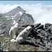 Hundebiwak auf ca. 3070 m (ab hier sind einige Kletterstellen zu verzeichnen, die die Hunde nicht packen können),