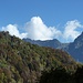 L'orizzonte dell'Alpe Borgo delle Valli: il Pedum e la Bocchetta di Campo. Sulla sx il bosco della Costa Rondino.