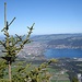 Blick auf Thun