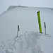 Der Gipfel des Schnebelhorns ist nah, doch der Schnee sehr, sehr tief