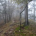 mystisch, im Nebel hoch, auf den auch heute schönen Jura-Graten ...