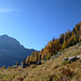 Wunderschöner Tessiner Herbst - im Schatten der Aufstieg zur Bassa della Cognora und der Pizzo di Mezzodi