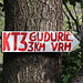 Im Aufstieg zum Gudurički vrh - Die Wanderroute ist durchgängig markiert. Und immer wieder gibt es auch Wegweiser, sowohl in kyrillischer wie auch in lateinischer Schrift. Hier noch in der Nähe von Malo Središte (Foto auf dem Rückweg).