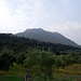 Olivenhaine - und der noch zu besuchende Monte Castello di Gaino