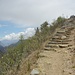 Die Treppen fuehren auf den Colina Sacrada.