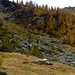 Nach der Siedlung auf der Alpe d' Arnau ist man auf dem richtigen Weg wenn man während des Aufstiegs diesen Felsklotz mit dem gelben Blachen rechts von sich hat.
