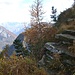 Wegpassage im Aufstieg zu der alten Alpsiedlung Corte del Pezz.