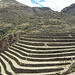 Beeindruckend, wie die Inkas der Natur die Moeglichkeiten zur Bewirtschaftung abgerungen haben.