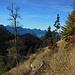 Der Abstieg vom Mühlberger Älpele zur Drehhütte führt durch schönes Gelände