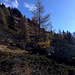 Rote Markierungen weisen hier den Weg