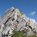 Auf den letzten Metern zur Krapfenkarspitze bekommt der Kamm etwas alpinen Charakter